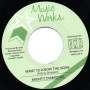 (7") MIGHTY DIAMONDS - WANT TO KNOW THE BOSS / VERSION