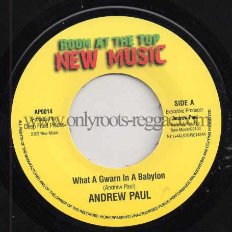 (7") ANDREW PAUL - WHAT A GWARN IN A BABYLON (RADIO MIX) / DUB