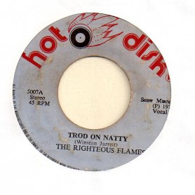 (7") THE RIGHTEOUS FLAMES - TROD ON NATTY / VERSION