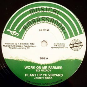 (12") EDI FITZROY - WORK ON MR FARMER / JOHNNY RINGO - PLANT UP YU VINYARD