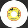 (7") PRINCE HAMMER - KINGDOM COME / RIDDIM CONFERENCE AKA SHANTY-NOB - KINGDOM DUB