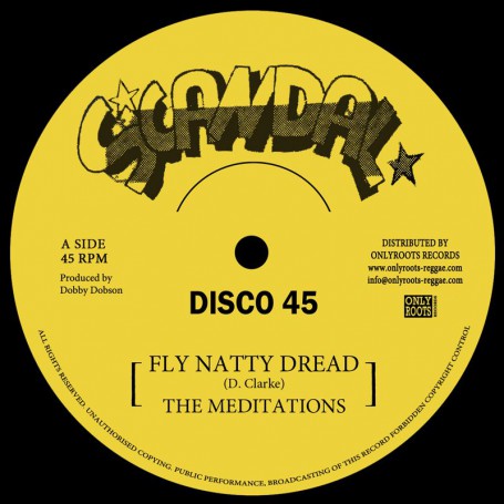 (12") THE MEDITATIONS - FLY NATTY DREAD (Extended) / JUSTICE + VERSION